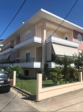 apartments in the center of the city